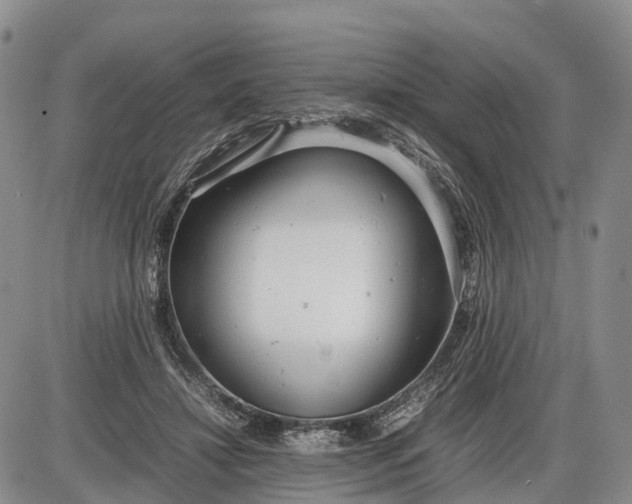 X0000085210452200703231511