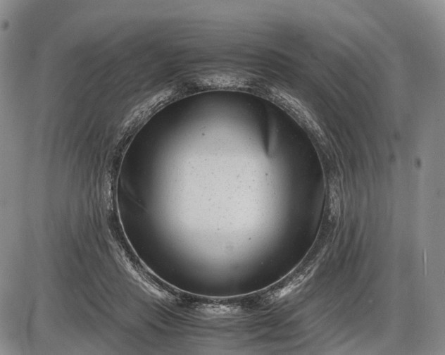 X0000085210453200703231511