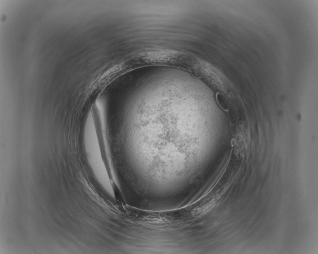 X0000085210454200703231511