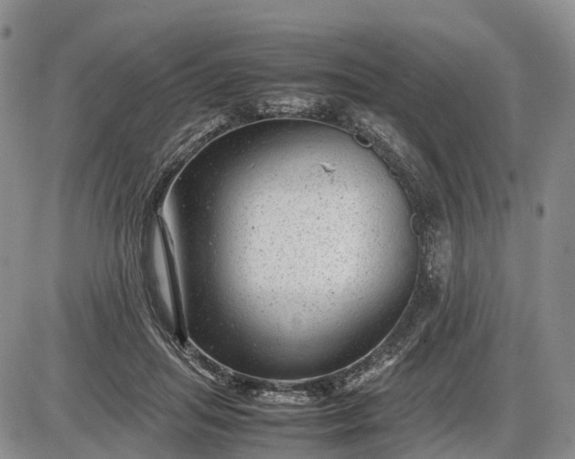 X0000085210455200703231511