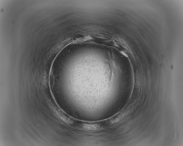 X0000085210457200703231511