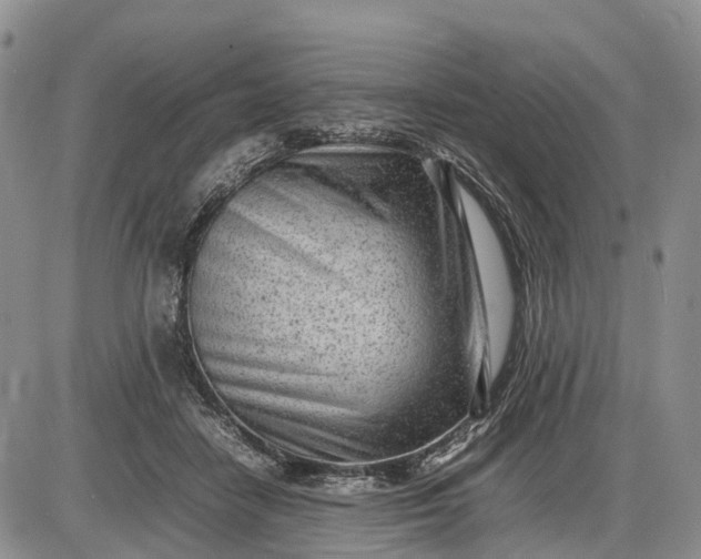 X0000085210458200703231511