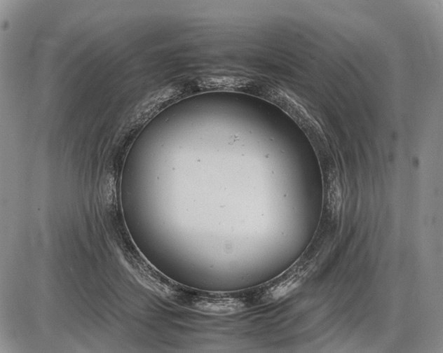 X0000085210459200703231511