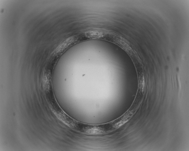 X0000085210460200703231511