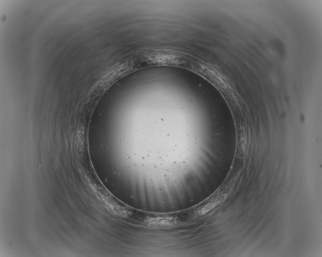 X0000085210461200703231511