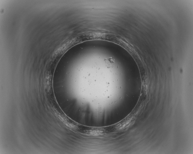 X0000085210462200703231511