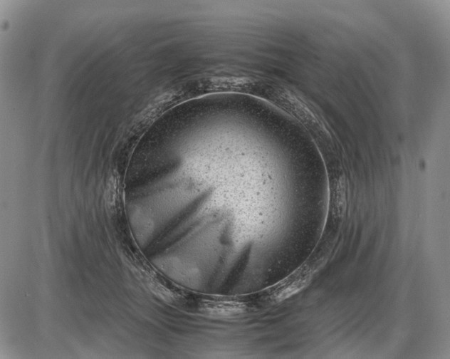 X0000085210463200703231511