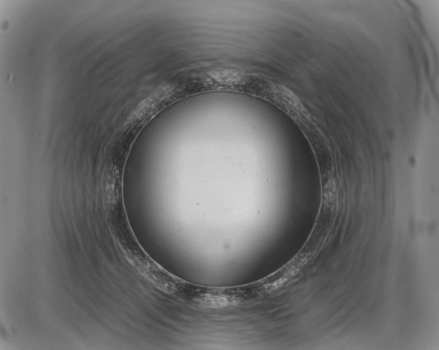 X0000085210464200703231511