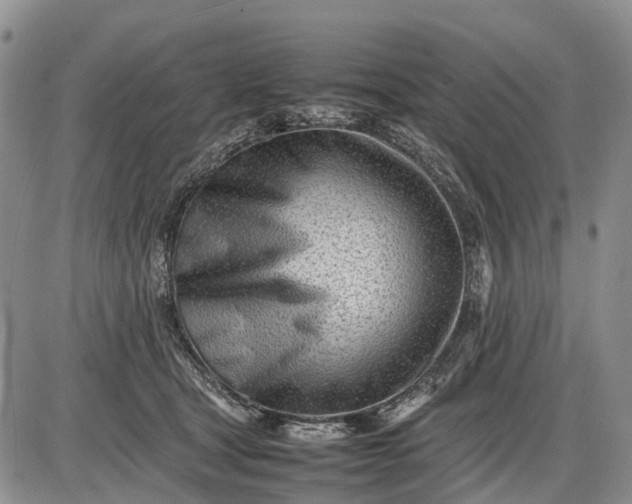 X0000085210465200703231511