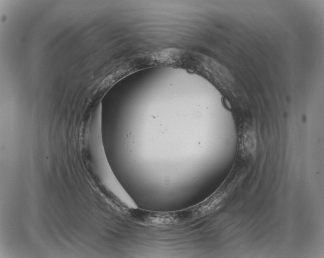 X0000085210466200703231511