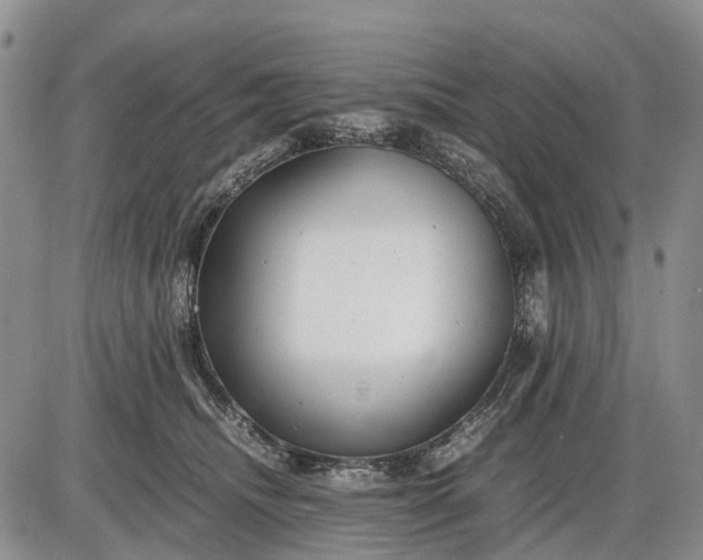 X0000085210468200703231511