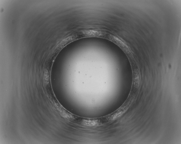 X0000085210469200703231511