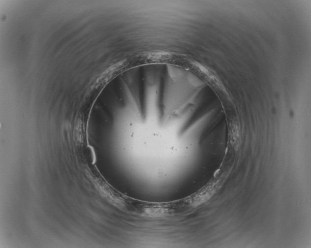 X0000085210470200703231511