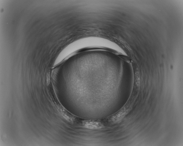 X0000085210471200703231511