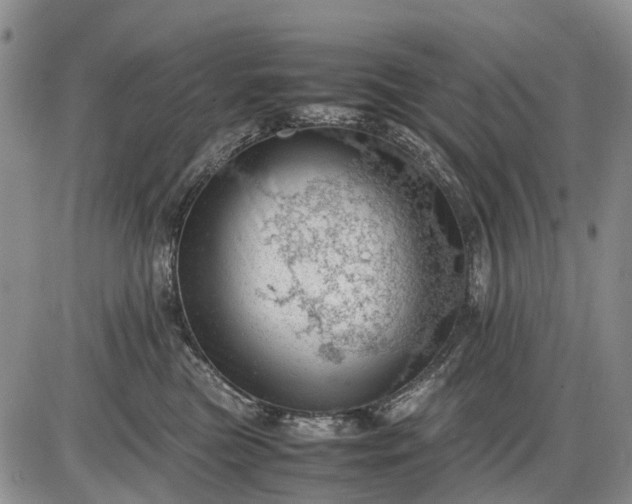 X0000085210473200703231511