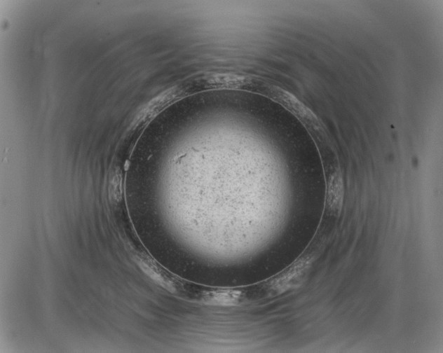 X0000085210474200703231511