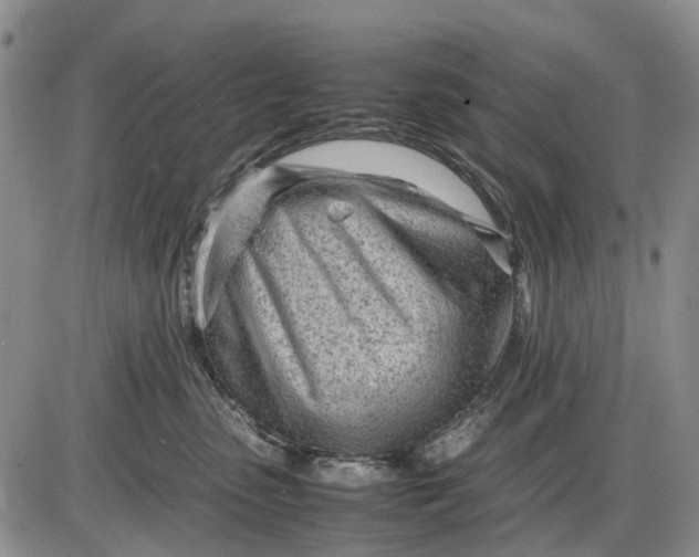 X0000085210475200703231511