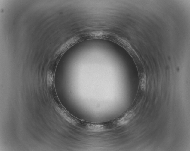 X0000085210476200703231511