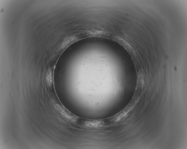 X0000085210479200703231511