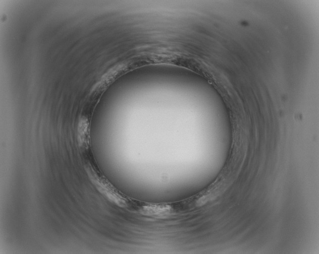 X0000085210480200703231511