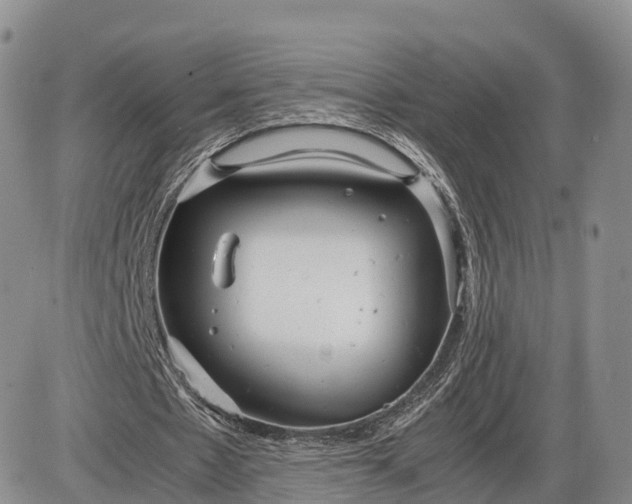 X0000085210481200703231511