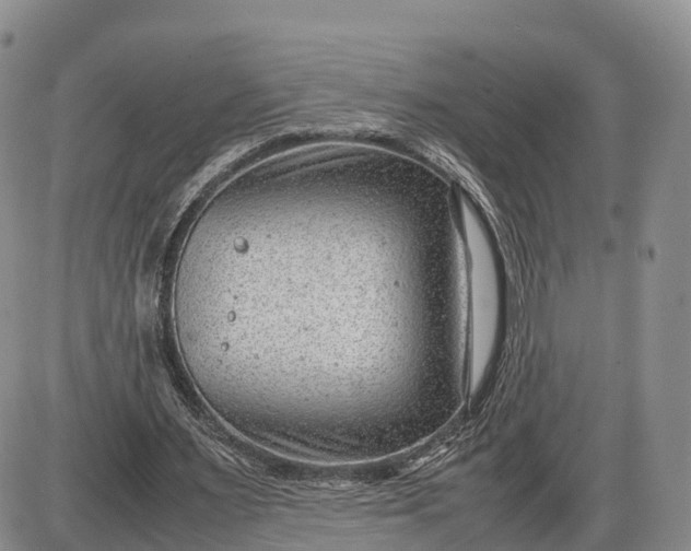 X0000085210483200703231511