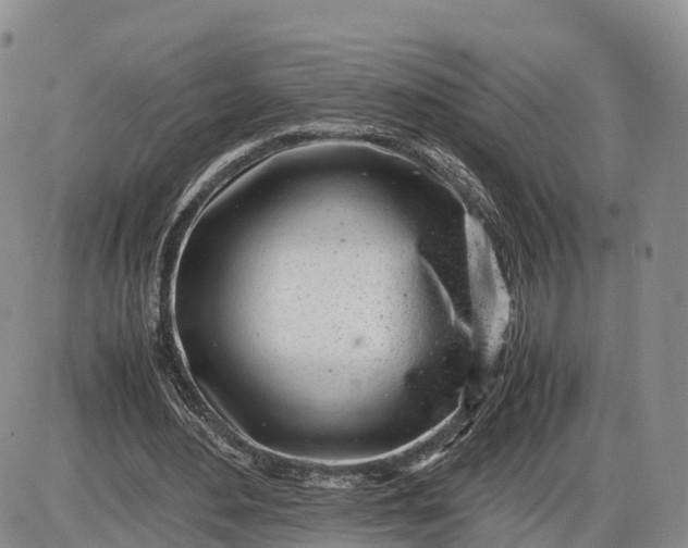 X0000085210484200703231511