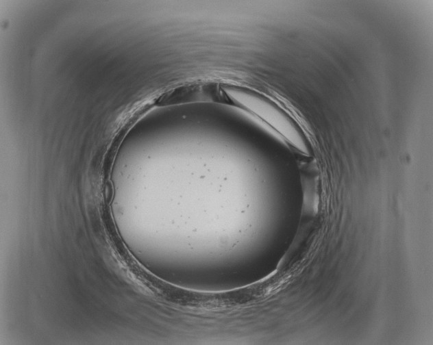 X0000085210485200703231511