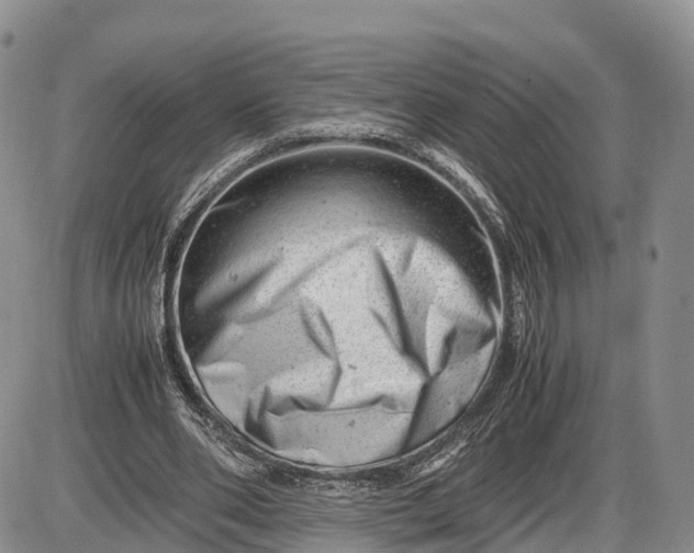 X0000085210486200703231511