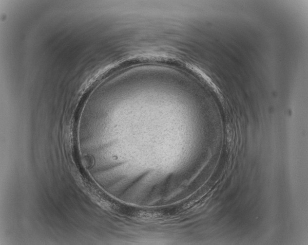 X0000085210487200703231511