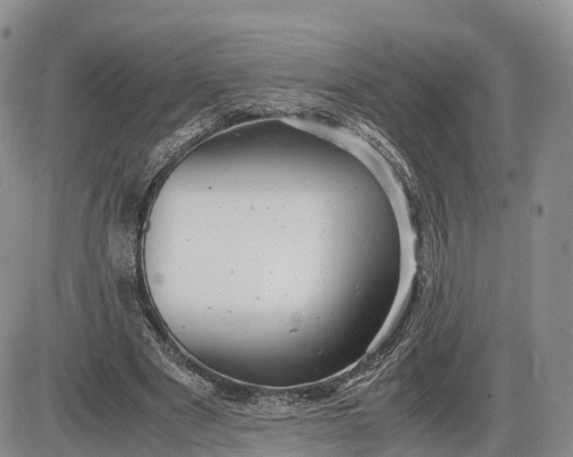 X0000085210489200703231511