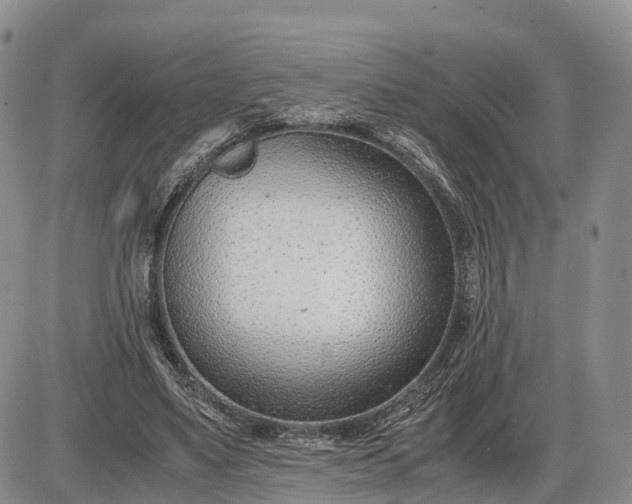 X0000085210491200703231511