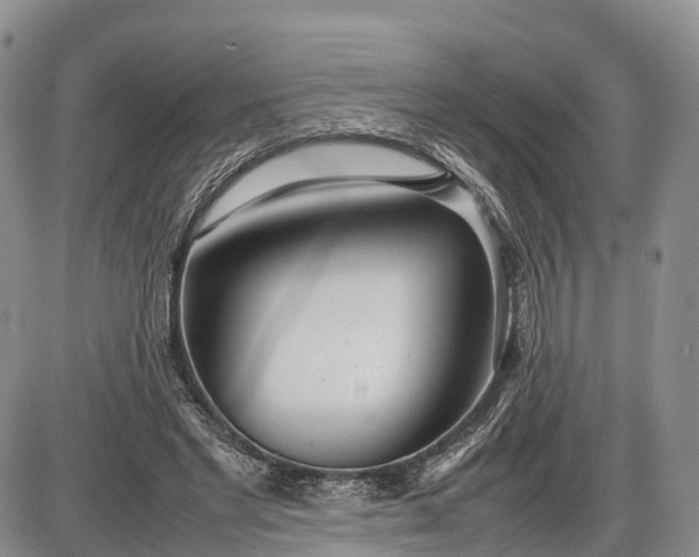 X0000085210493200703231510