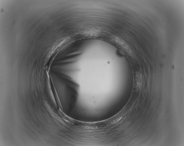 X0000085210494200703231510