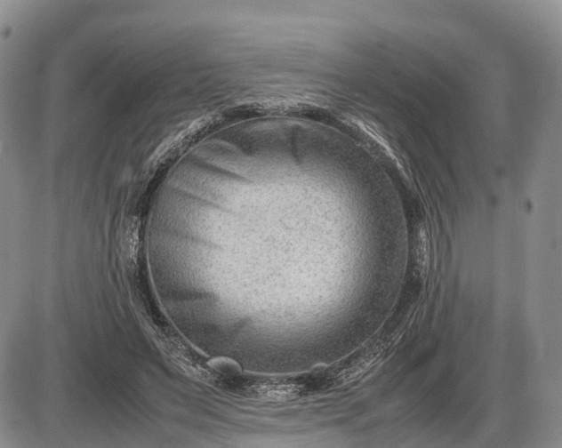 X0000085210495200703231510