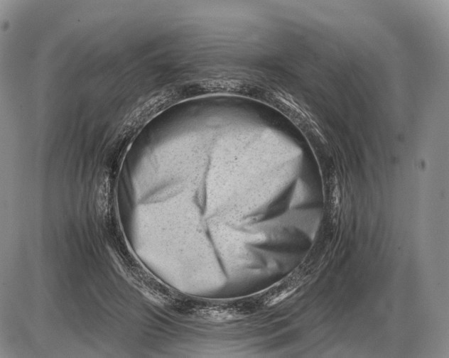 X0000085210498200703231510