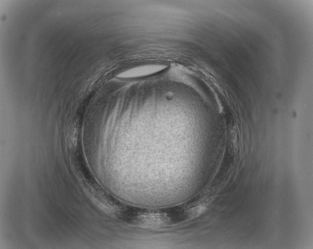 X0000085210499200703231510