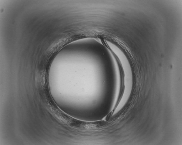 X0000085210501200703231510