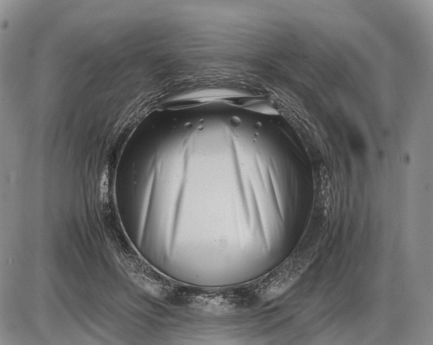 X0000085210502200703231510