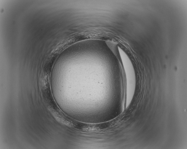 X0000085210503200703231510