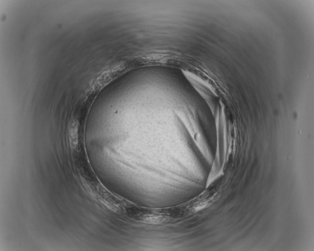 X0000085210504200703231510