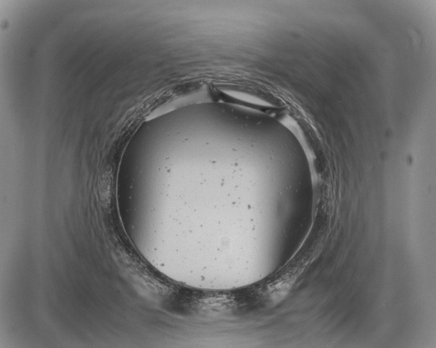 X0000085210505200703231510