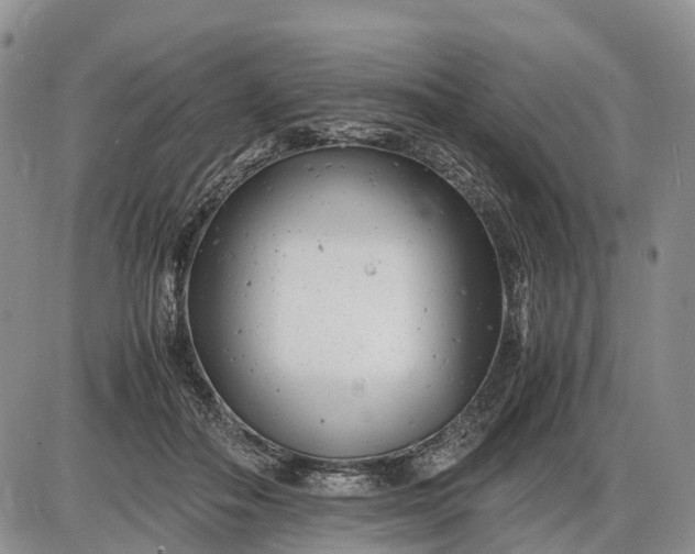 X0000085210506200703231510