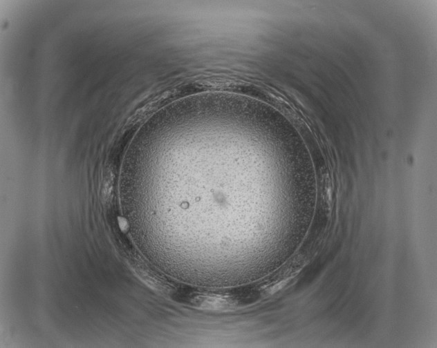 X0000085210507200703231510