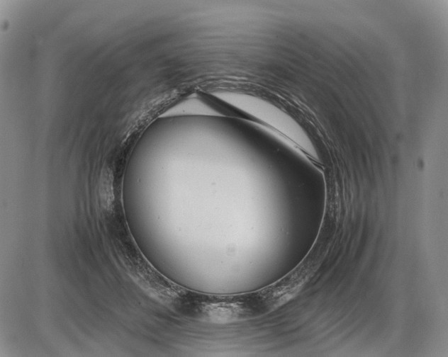 X0000085210508200703231510