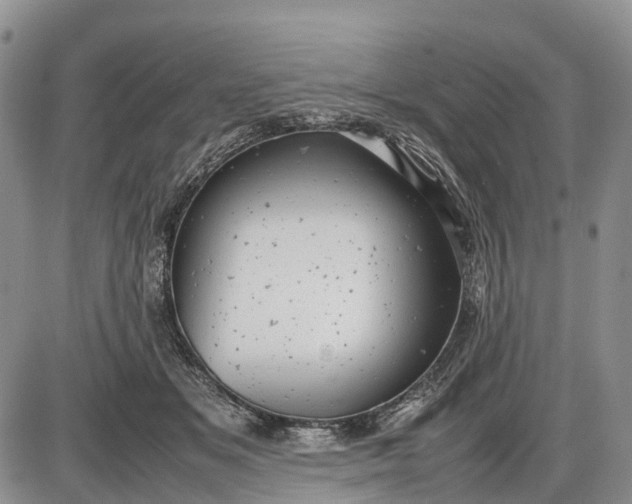 X0000085210509200703231510