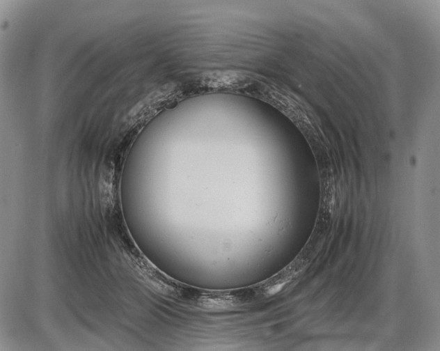 X0000085210510200703231510