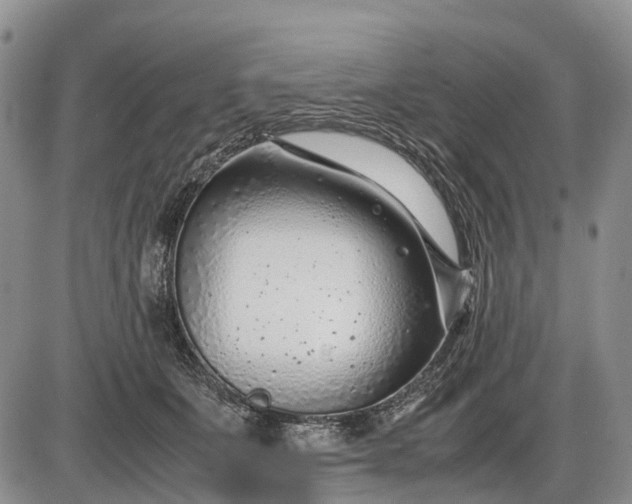 X0000085210511200703231510