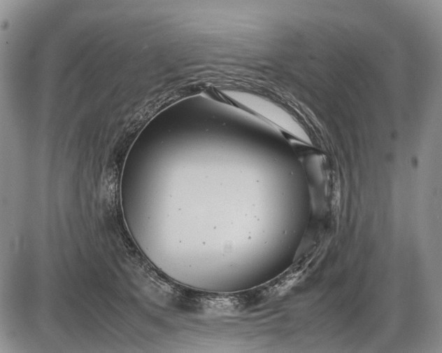 X0000085210513200703231510