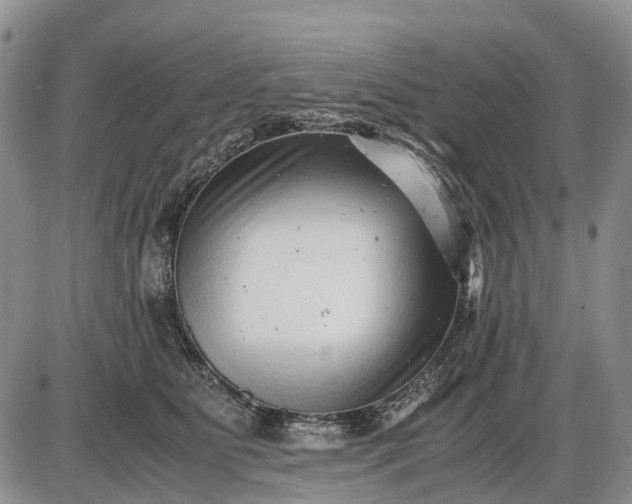 X0000085210515200703231510